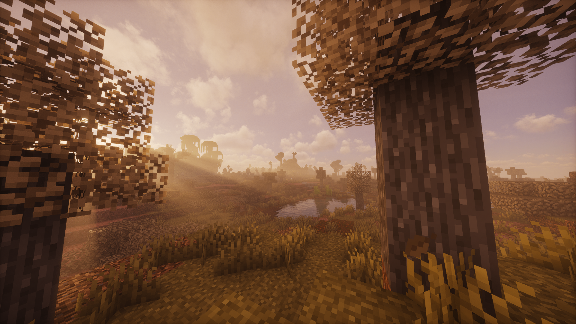 Hazy savanna at sunset with acacia trees and a small pond on Alpha Universe